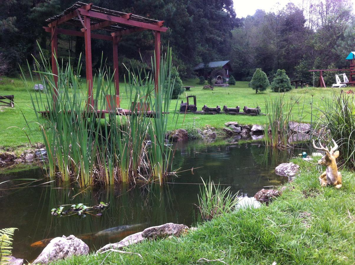Cabanas Alpinas Lopez Fontes Valle de Bravo Exterior foto
